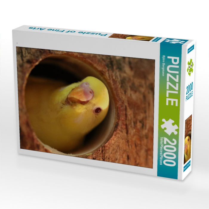 Puzzle 2000 pièces haut - Puzzle photo CALVENDO 