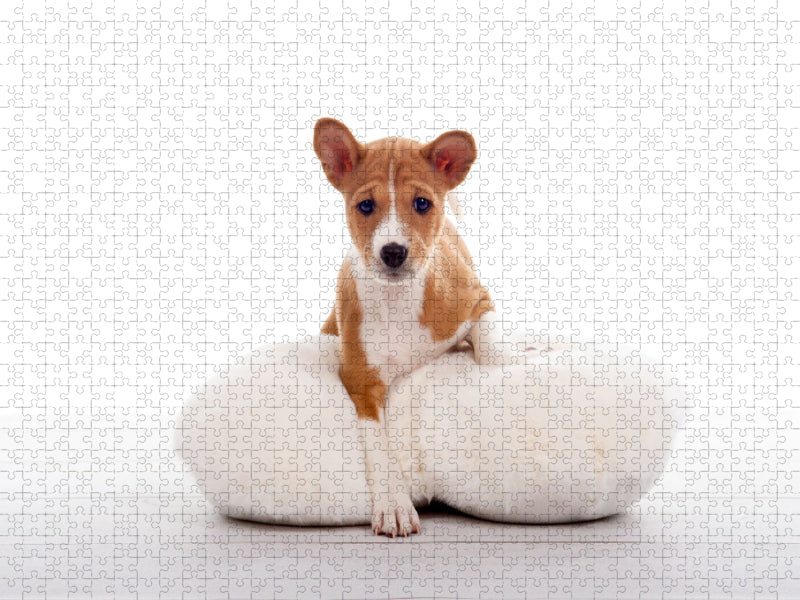 weich gebettet - CALVENDO Foto-Puzzle'