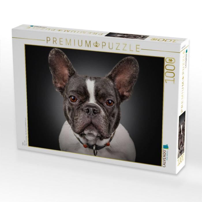 Kalle - CALVENDO Foto-Puzzle'