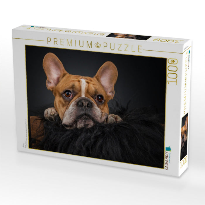 Bruno - CALVENDO Foto-Puzzle'