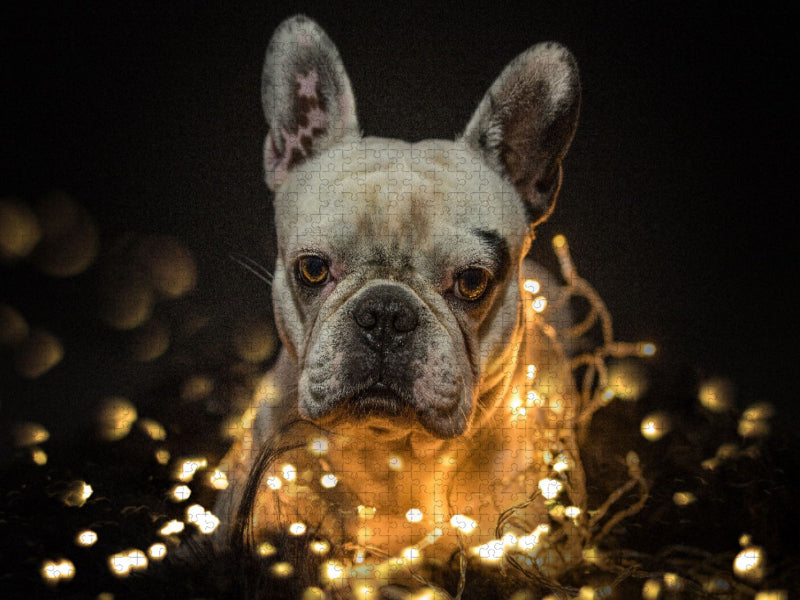 Manfred - CALVENDO Foto-Puzzle'