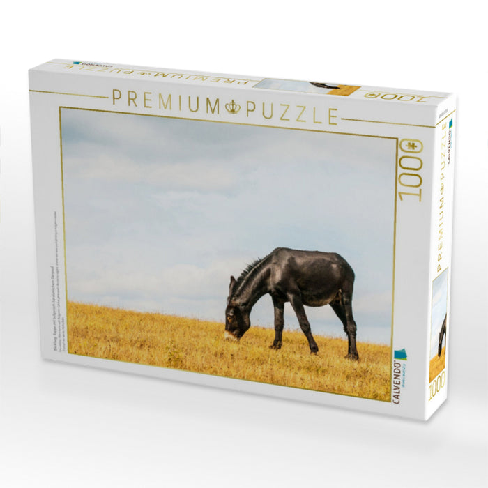 Blickfang: Rappe mit bulgarisch-katalanischem Genpool - CALVENDO Foto-Puzzle'