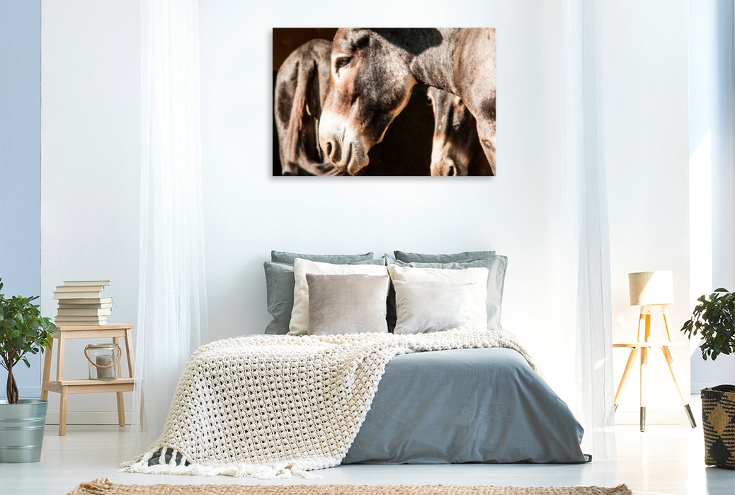 Premium textile canvas Premium textile canvas 120 cm x 80 cm landscape Elegant Bulgarian large donkey with flour mouth 