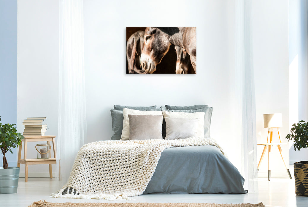 Premium textile canvas Premium textile canvas 120 cm x 80 cm landscape Elegant Bulgarian large donkey with flour mouth 