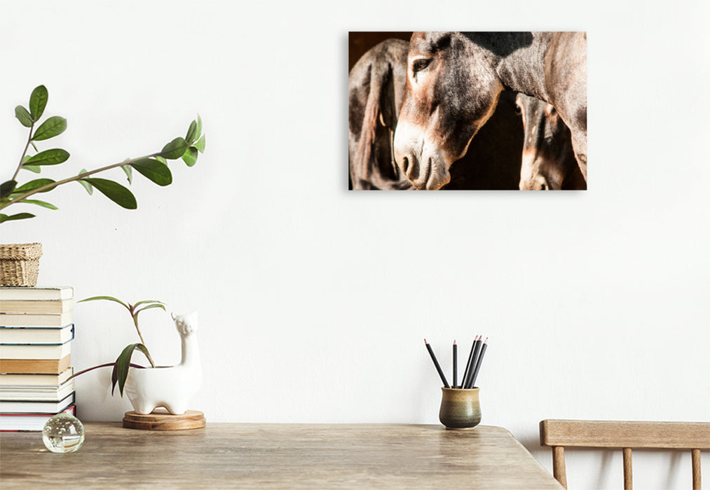 Premium textile canvas Premium textile canvas 120 cm x 80 cm landscape Elegant Bulgarian large donkey with flour mouth 