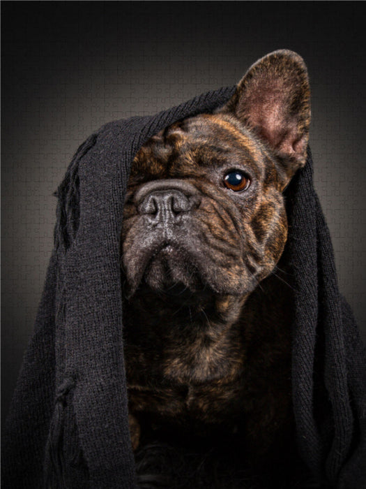 Frieda - CALVENDO photo puzzle 