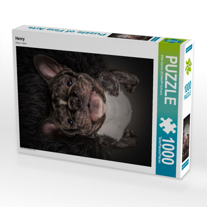 Henry 1000 Teile Puzzle hoch - CALVENDO Foto-Puzzle'