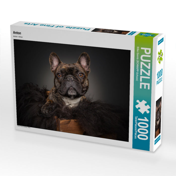 Anton - CALVENDO photo puzzle 