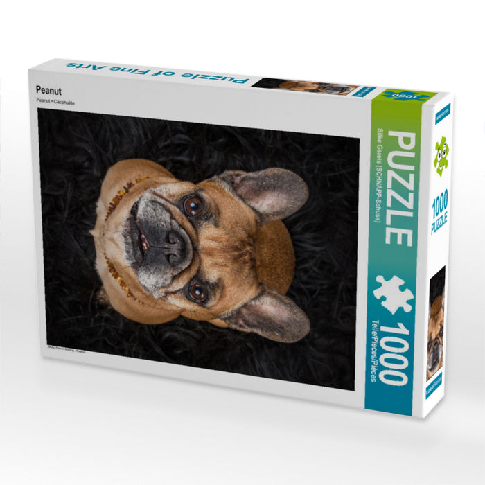 Peanut - CALVENDO photo puzzle 