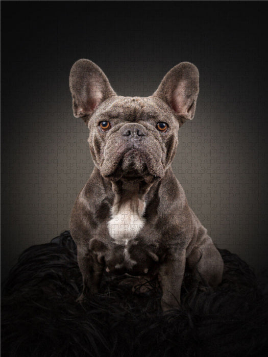 Ludwig - CALVENDO photo puzzle 