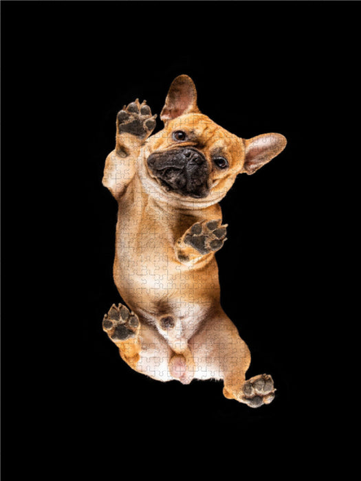 Balou 1000 Teile Puzzle hoch - CALVENDO Foto-Puzzle'