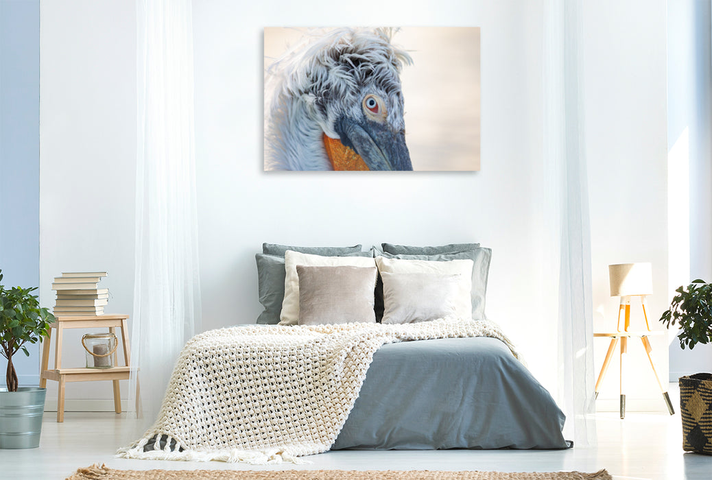 Premium Textil-Leinwand Premium Textil-Leinwand 120 cm x 80 cm quer Ein Motiv aus dem Kalender Charismatische Vögel
