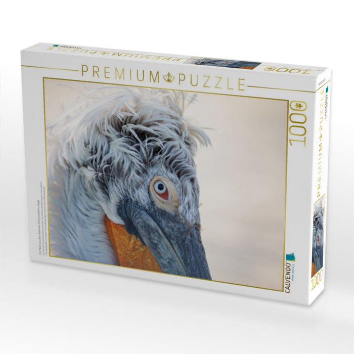 Ein Motiv aus dem Kalender Charismatische Vögel - CALVENDO Foto-Puzzle'