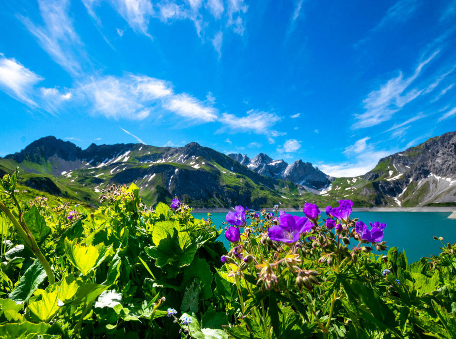 Flore au Lünersee - Puzzle photo CALVENDO 