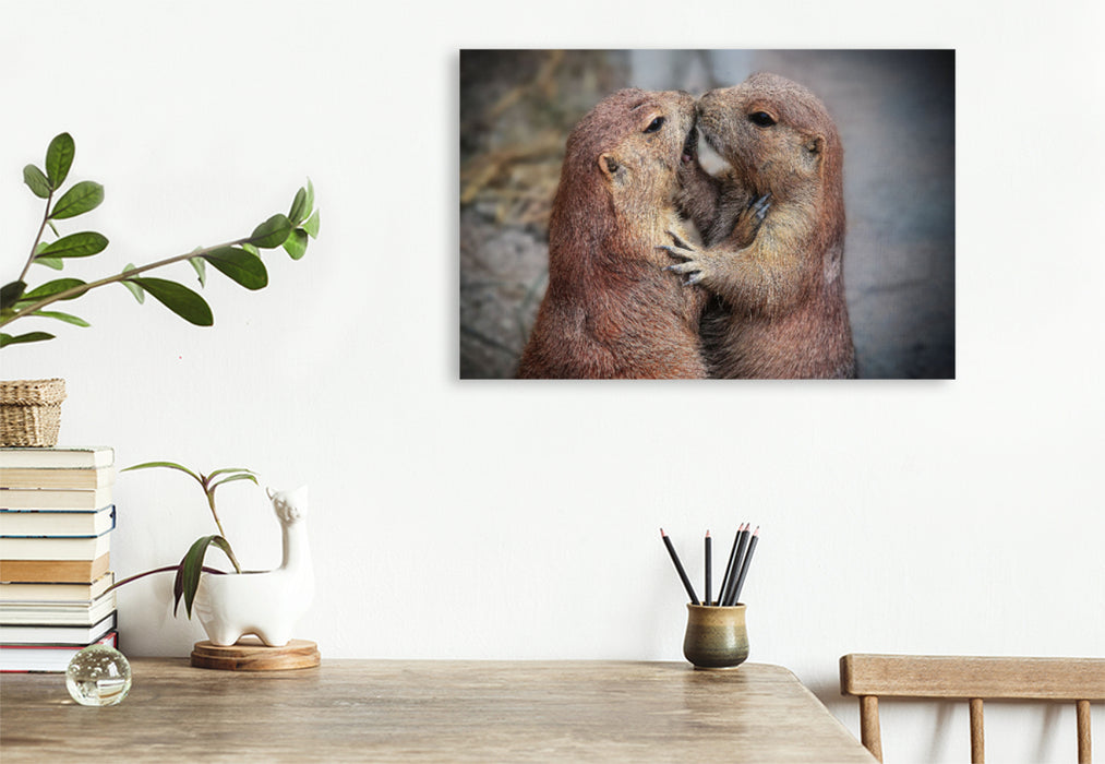 Premium textile canvas Premium textile canvas 120 cm x 80 cm landscape Prairie dogs 