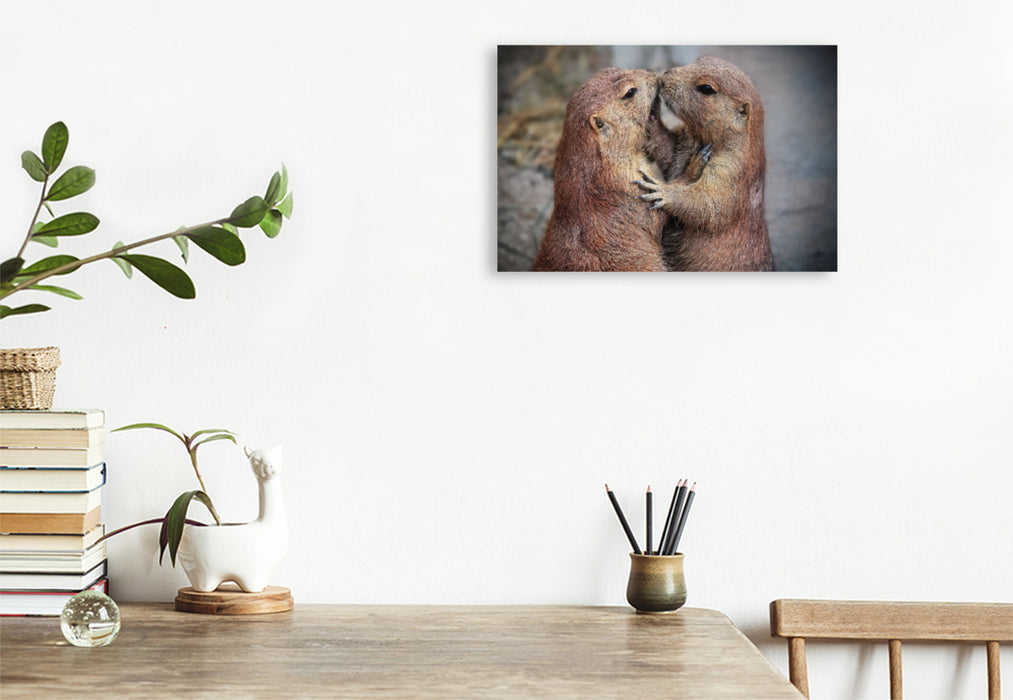 Premium textile canvas Premium textile canvas 120 cm x 80 cm landscape Prairie dogs 