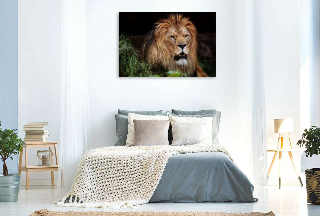 Premium textile canvas Premium textile canvas 120 cm x 80 cm landscape Berber lion 