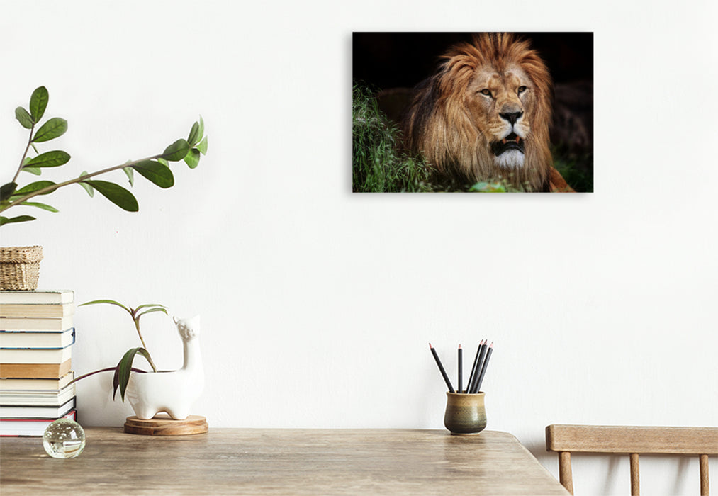 Premium textile canvas Premium textile canvas 120 cm x 80 cm landscape Berber lion 