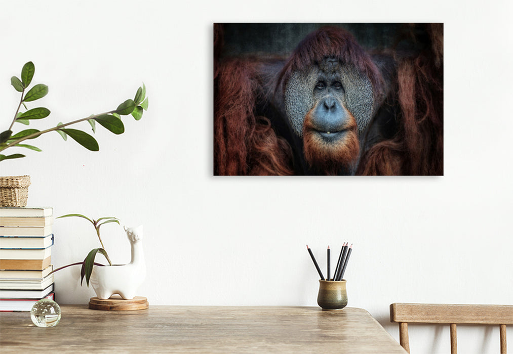 Premium textile canvas Premium textile canvas 120 cm x 80 cm landscape Orangutan 