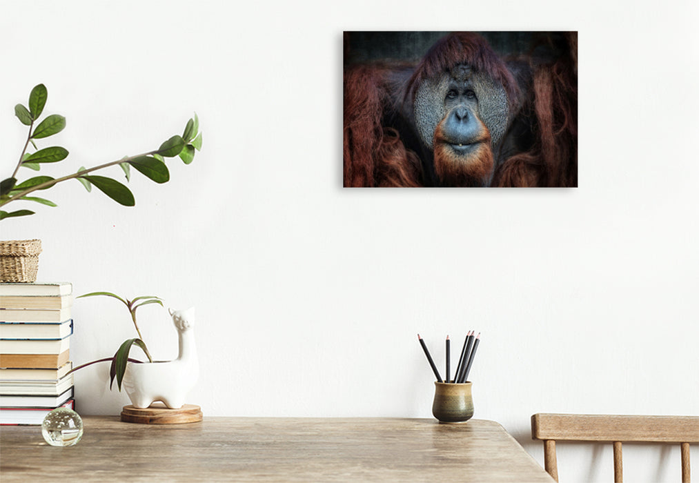 Premium textile canvas Premium textile canvas 120 cm x 80 cm landscape Orangutan 