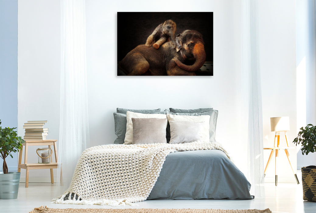 Premium textile canvas Premium textile canvas 120 cm x 80 cm landscape A motif from the calendar Animal Portraits up close 