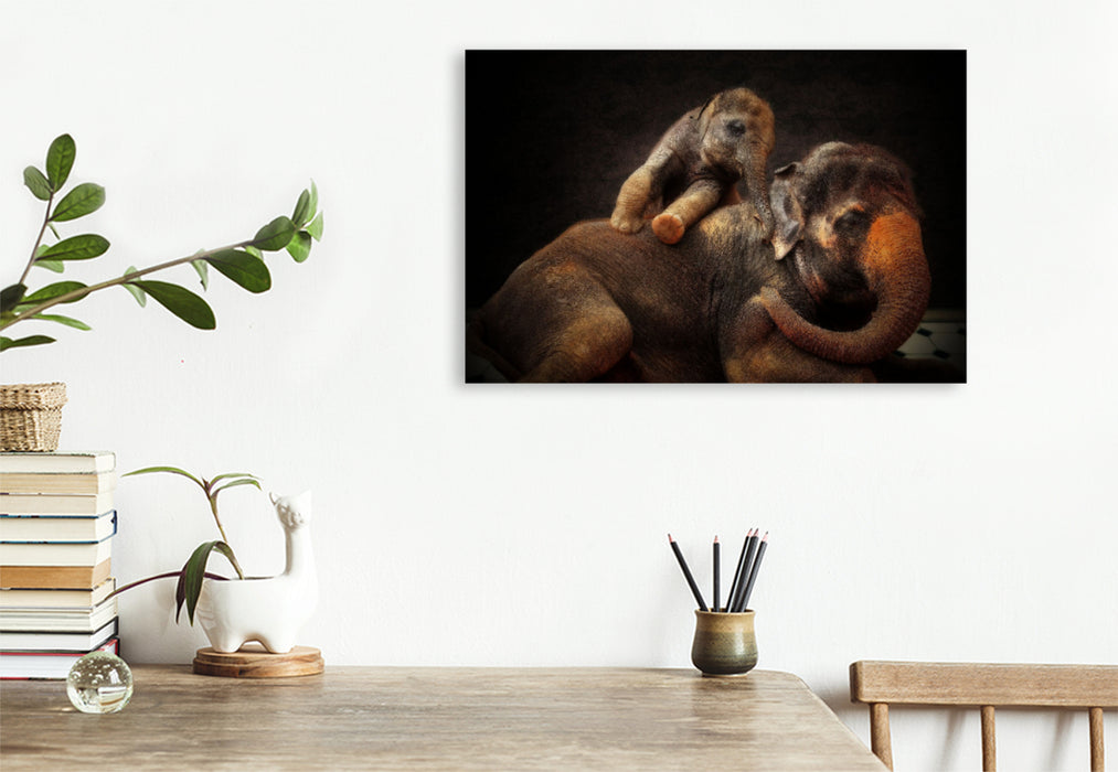 Premium textile canvas Premium textile canvas 120 cm x 80 cm landscape A motif from the calendar Animal Portraits up close 