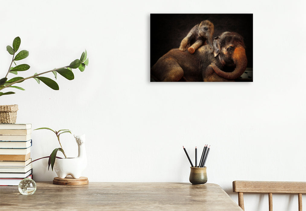 Premium textile canvas Premium textile canvas 120 cm x 80 cm landscape A motif from the calendar Animal Portraits up close 