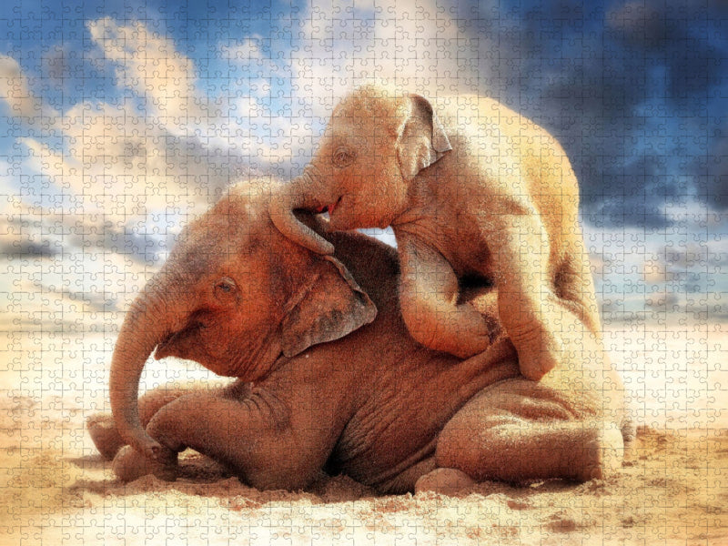 Asiatische Elefanten Geschwister - CALVENDO Foto-Puzzle'