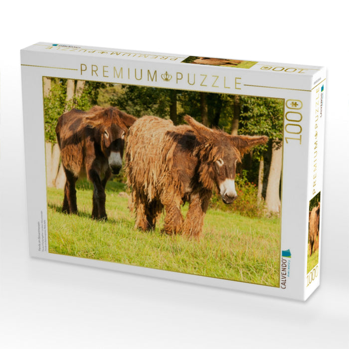 Freude am Beisammensein - CALVENDO Foto-Puzzle'