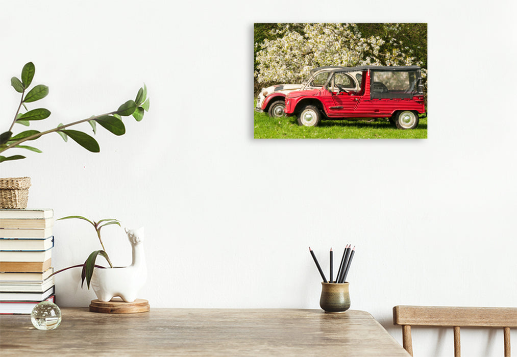Premium textile canvas Premium textile canvas 120 cm x 80 cm landscape Two-cylinder meeting under the cherry tree 