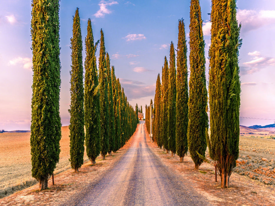 Poggio Covili - CALVENDO Foto-Puzzle'