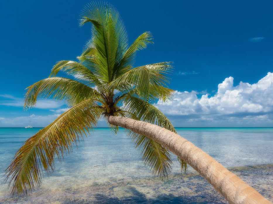Isla Saona - CALVENDO photo puzzle 