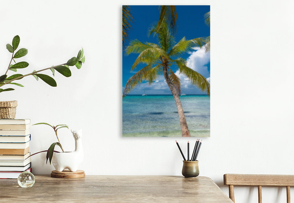 Premium textile canvas Premium textile canvas 80 cm x 120 cm high Isla Saona 