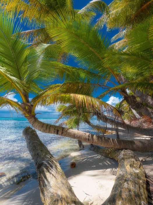 Isla Saona - CALVENDO photo puzzle 