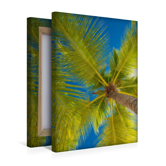 Premium Textil-Leinwand Isla Saona