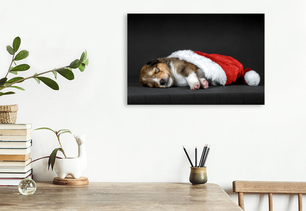 Premium textile canvas Premium textile canvas 90 cm x 60 cm landscape Little collie sleeps in a Santa hat 