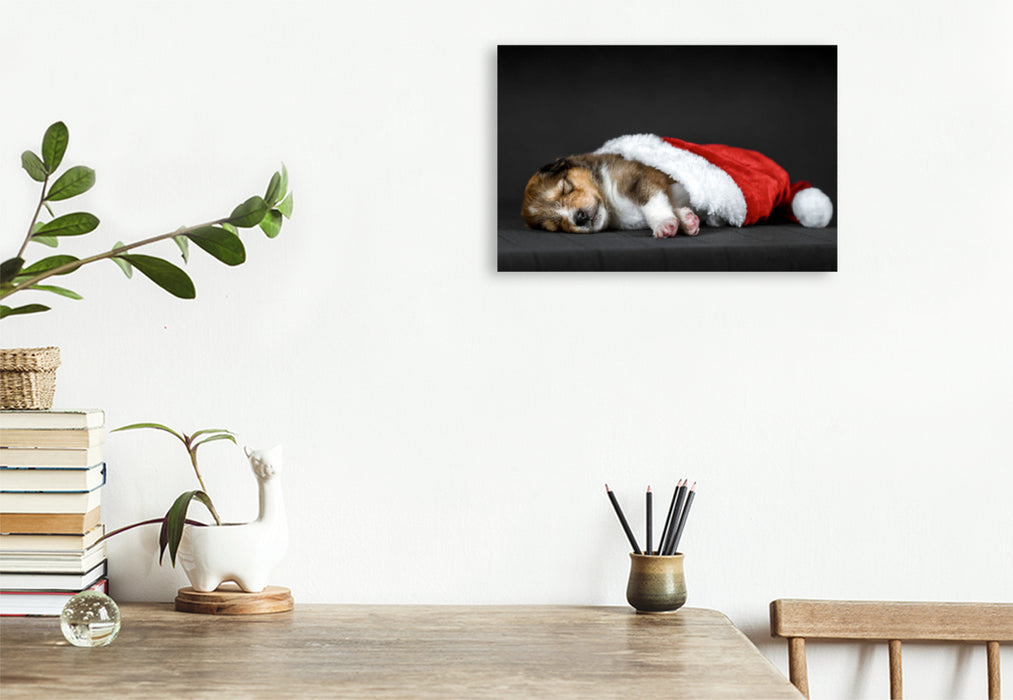 Premium textile canvas Premium textile canvas 90 cm x 60 cm landscape Little collie sleeps in a Santa hat 