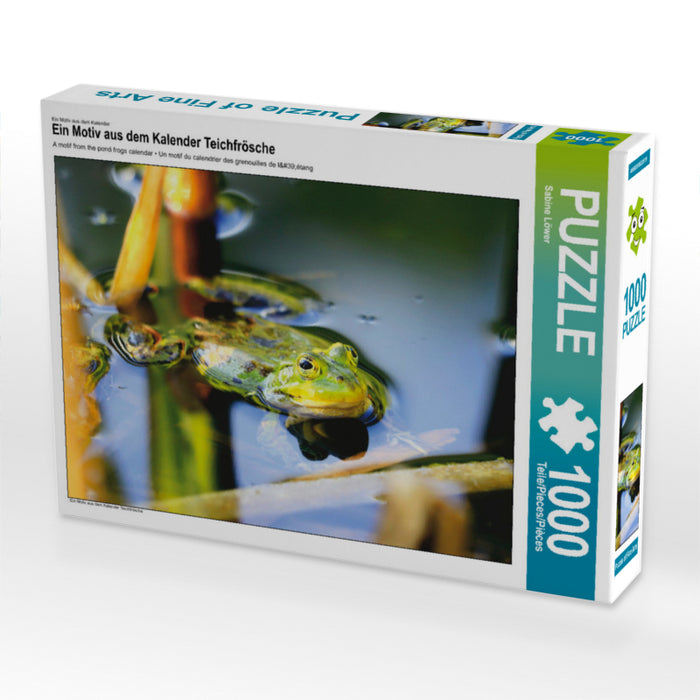 Ein Motiv aus dem Kalender Teichfrösche 1000 Teile Puzzle quer - CALVENDO Foto-Puzzle'