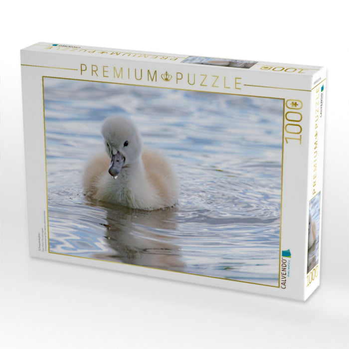Schwanenküken - CALVENDO Foto-Puzzle'