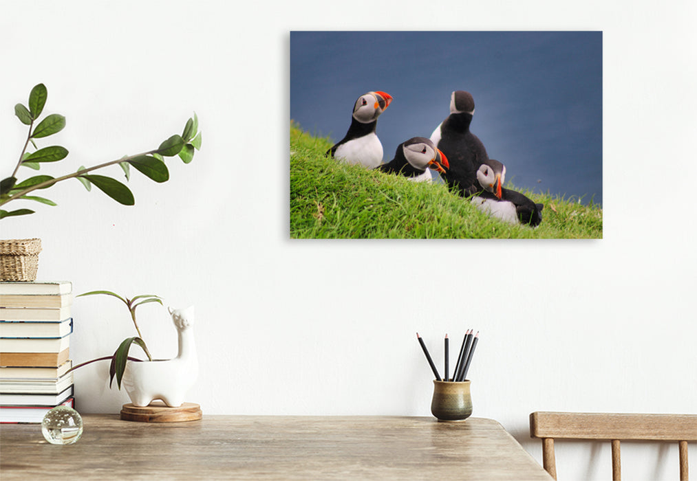Premium textile canvas Premium textile canvas 120 cm x 80 cm across A motif from the Puffin 2022 calendar - Magical Birds of the Northern Sea 