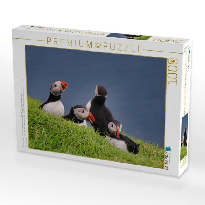Ein Motiv aus dem Kalender Papageientaucher 2022 - Magische Vögel des Nordmeers - CALVENDO Foto-Puzzle'