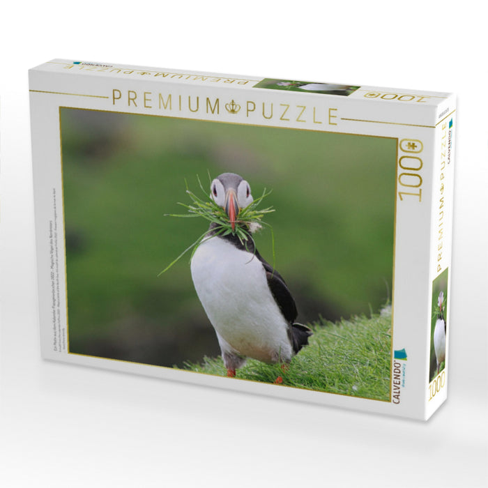 Ein Motiv aus dem Kalender Papageientaucher 2022 - Magische Vögel des Nordmeers - CALVENDO Foto-Puzzle'