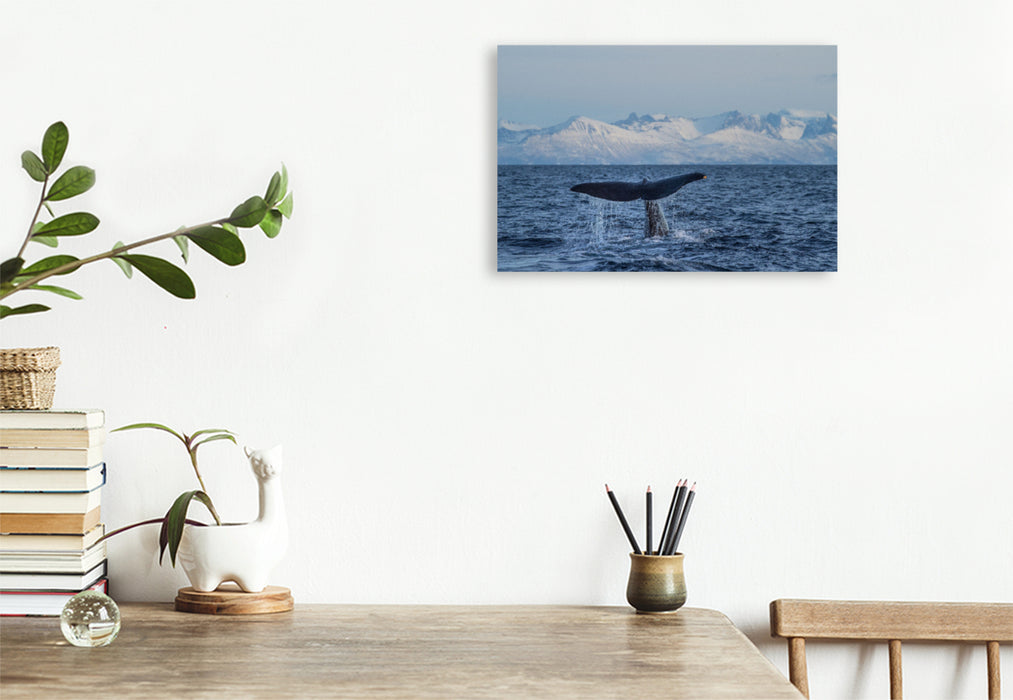 Premium textile canvas Premium textile canvas 120 cm x 80 cm landscape sperm whale in front of Senja 