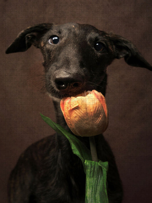 Happy Valentine - CALVENDO Foto-Puzzle'