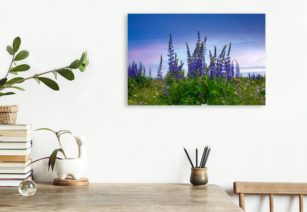 Premium textile canvas Premium textile canvas 120 cm x 80 cm landscape lupins 