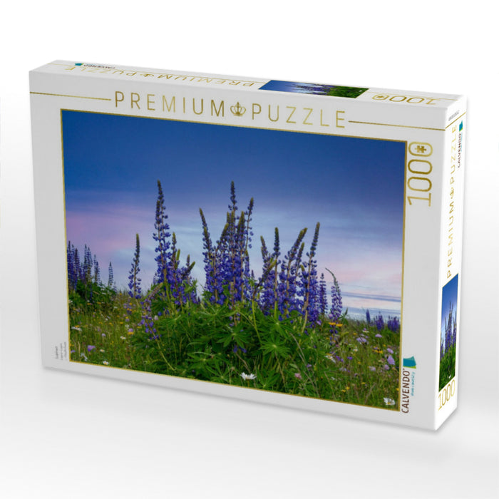 Lupinen - CALVENDO Foto-Puzzle'