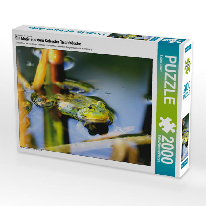 Grenouilles de bassin - Puzzle photo CALVENDO 