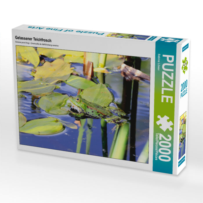 Gelassener Teichfrosch 2000 Teile Puzzle quer - CALVENDO Foto-Puzzle'