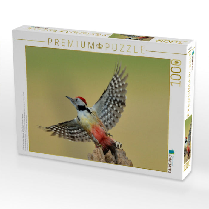 Ein Motiv aus dem Kalender Wilde Vögel vor der Kamera - CALVENDO Foto-Puzzle'