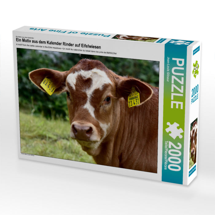 Ein Motiv aus dem Kalender Rinder auf Eifelwiesen 2000 Teile Puzzle quer - CALVENDO Foto-Puzzle'